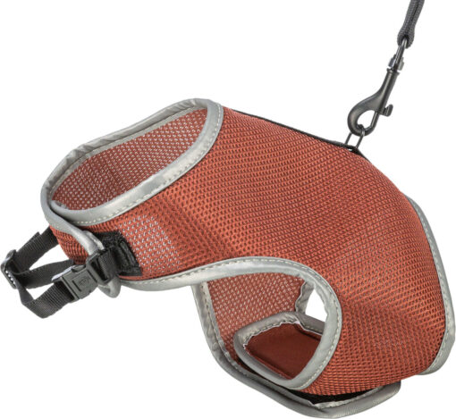 Harnais doux, chats, avec laisse, 24-42cm, 1,20 m, rouille