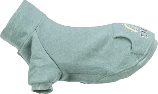 Sweat Littleton, menthe XXS: 18cm
