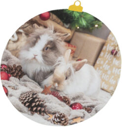 Boîte presentoir en bois, 31×16.4×45cm