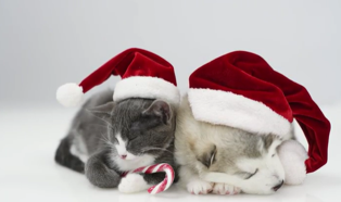 Weihnachten