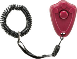 Alternative view of Clicker avec touche