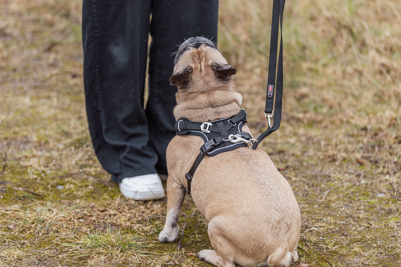 Harnais Premium FlexMesh, coupe large, noir M: 58-80cm/20 mm Harnais Premium FlexMesh, coupe large, noir M: 58-80cm/20 mm