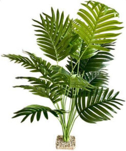 TERRA PALM