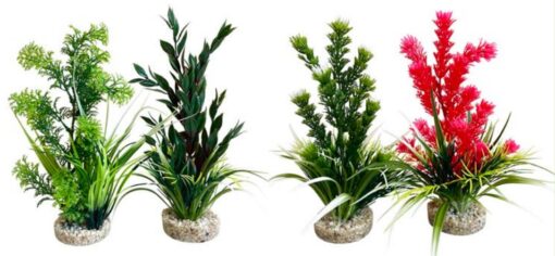 AQUAPLANT MEDIUM 21cm