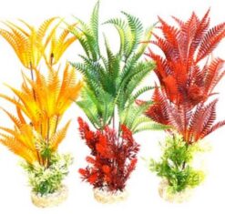 FERN XL