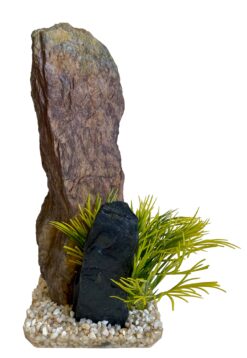 MOUNTAIN PEAK GRASS