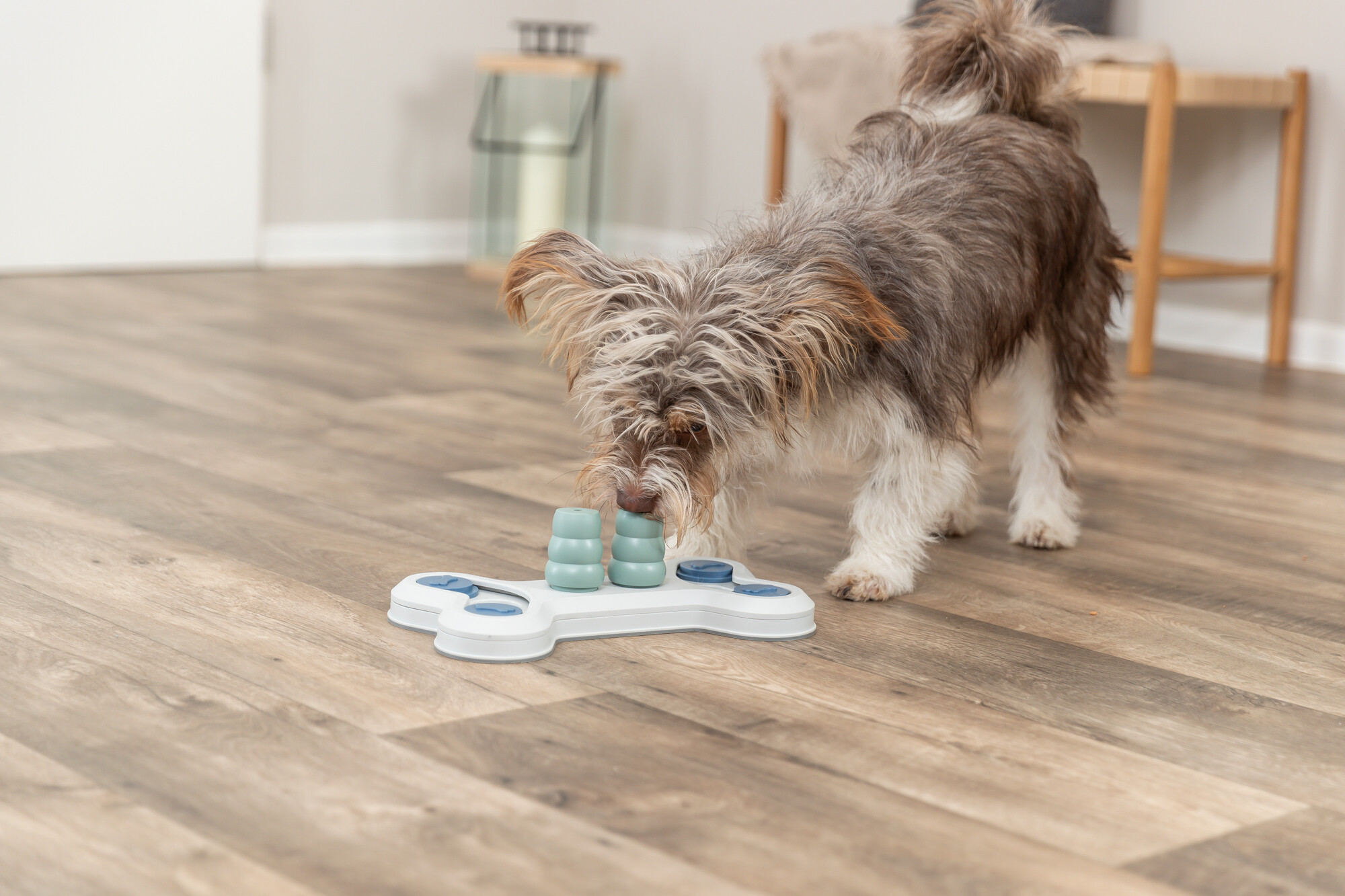 Dog Activity Flip Bone, 32 × 18 cm Dog Activity Flip Bone, 32 × 18 cm