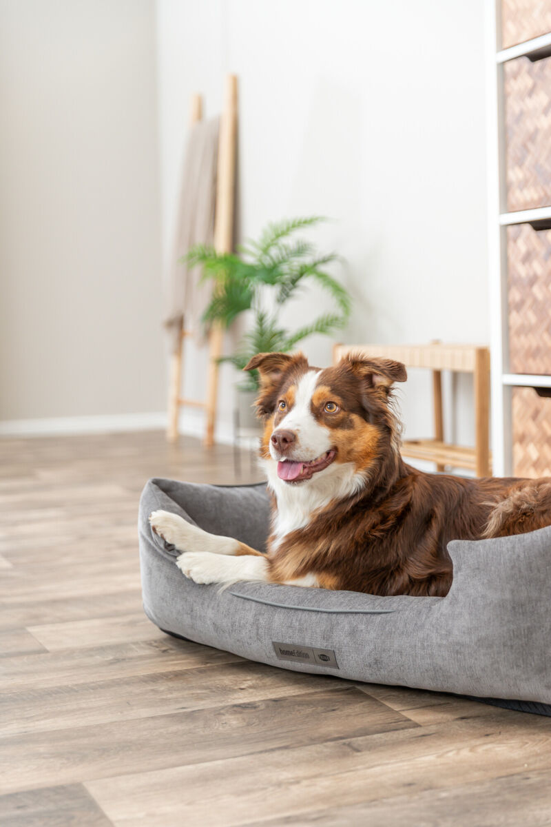 Lit Vital Lennox, chenille, carré, gris 60×50cm Lit Vital Lennox, chenille, carré, gris 60×50cm