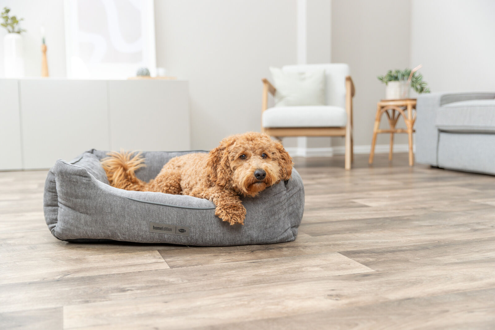 Lit Vital Lennox, chenille, carré, gris 60×50cm Lit Vital Lennox, chenille, carré, gris 60×50cm