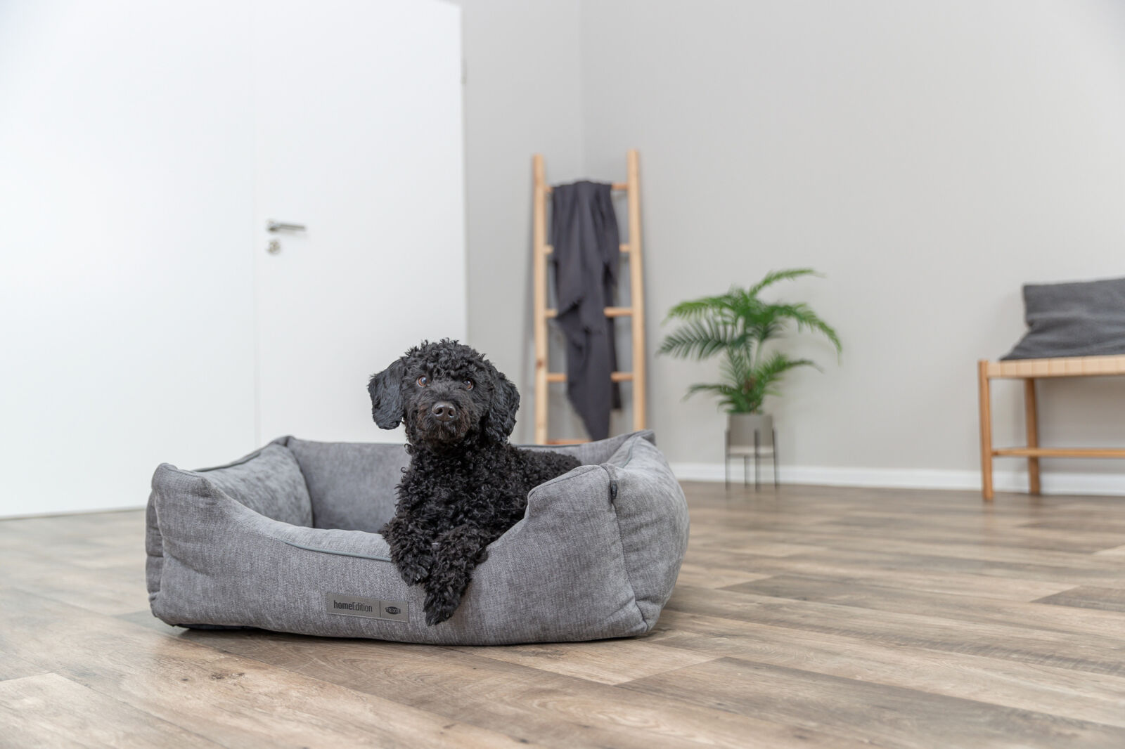 Lit Vital Lennox, chenille, carré, gris 60×50cm Lit Vital Lennox, chenille, carré, gris 60×50cm