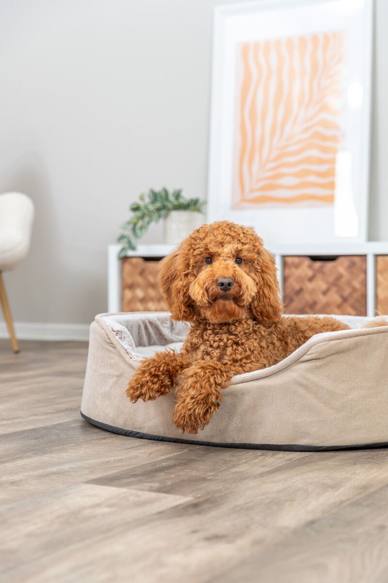 Vital lit Lino Soft, ovale, beige/crème 60×45cm Vital lit Lino Soft, ovale, beige/crème 60×45cm