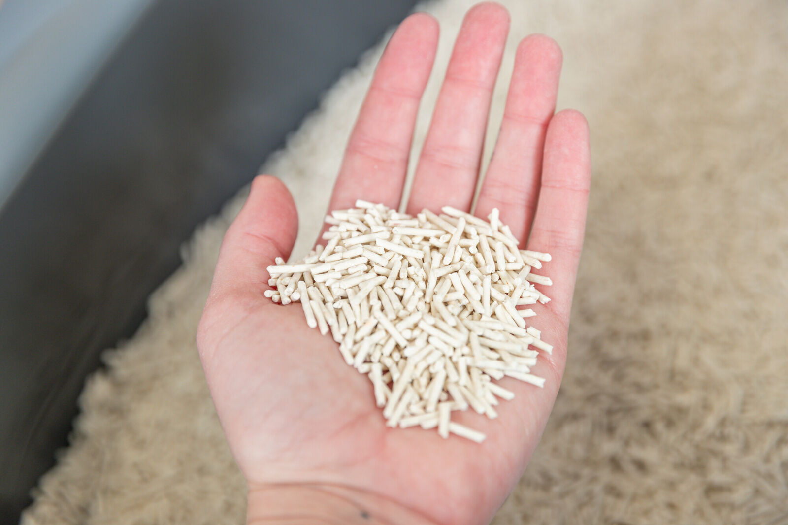 Tofu-Katzenstreu, klumpend 2,5 kg Tofu-Katzenstreu, klumpend 2,5 kg