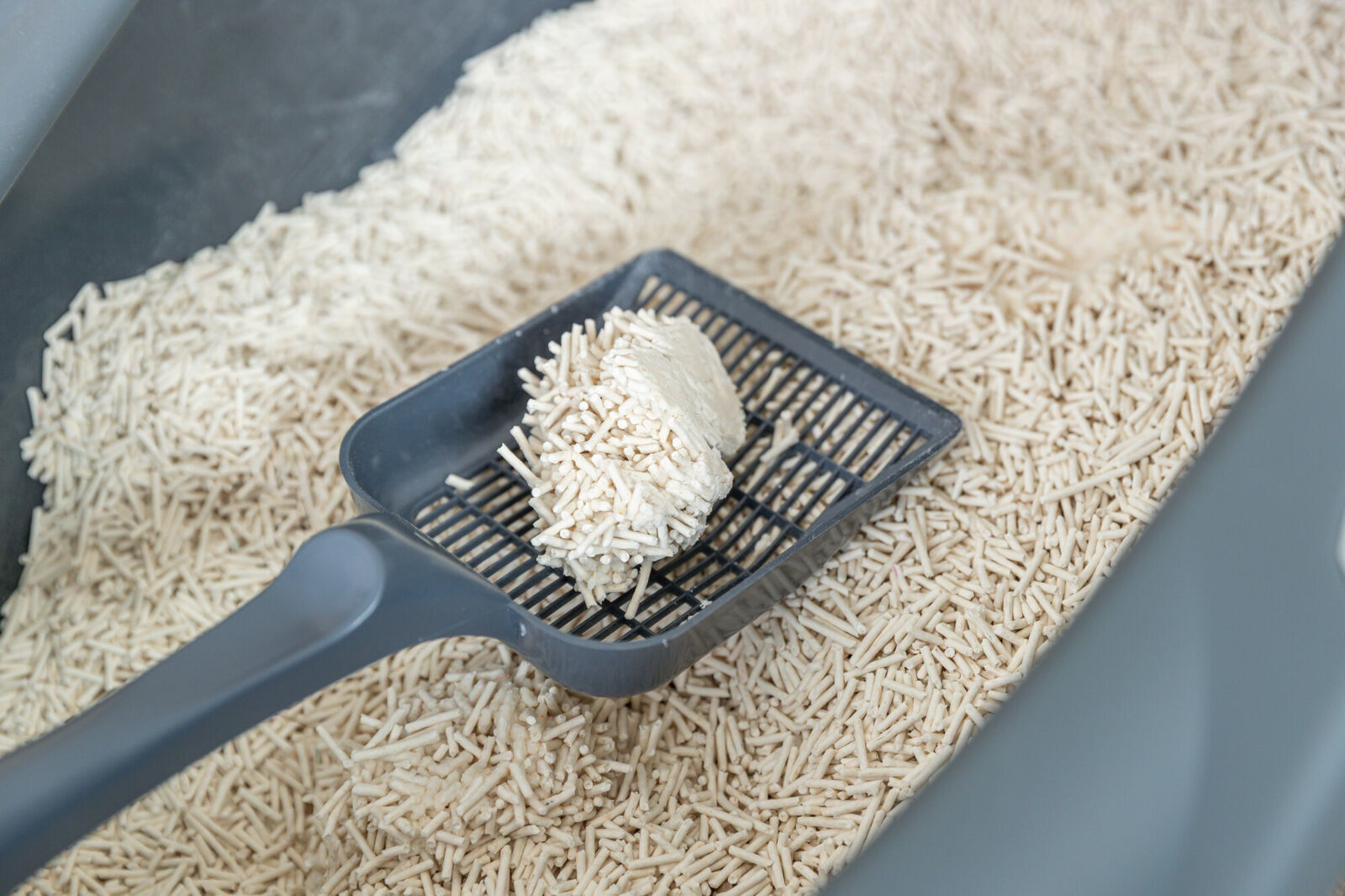 Litière pour chats au tofu 4,5 kg Litière pour chats au tofu 4,5 kg