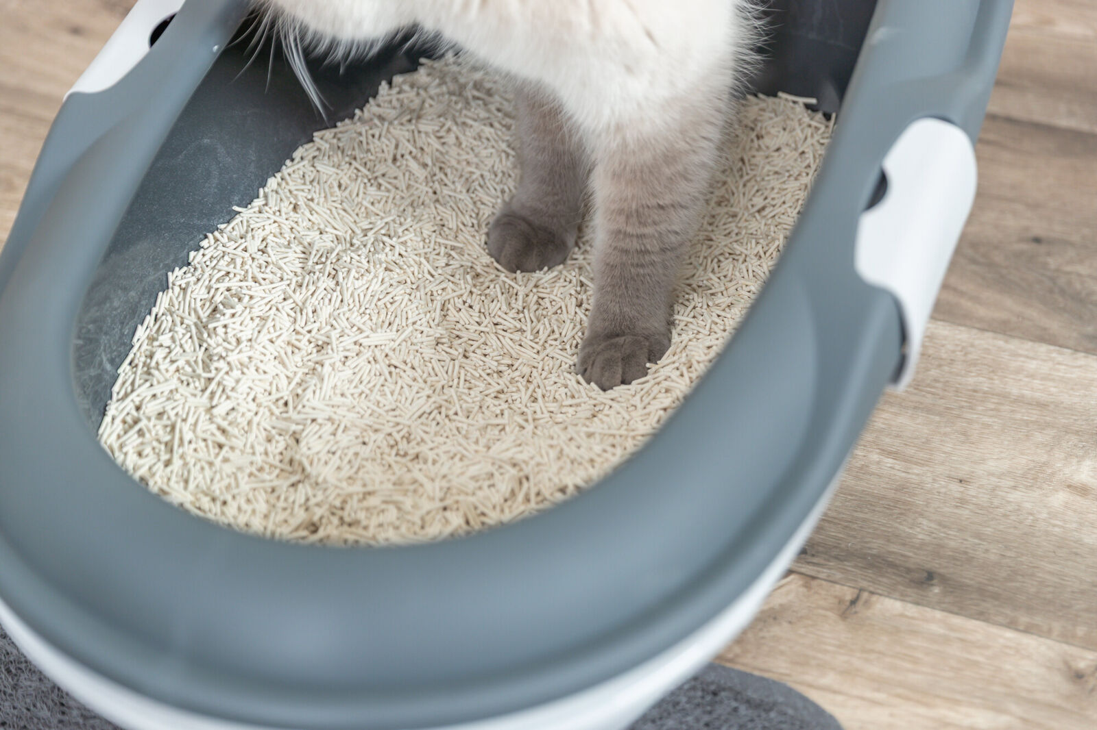 Litière pour chats au tofu 4,5 kg Litière pour chats au tofu 4,5 kg