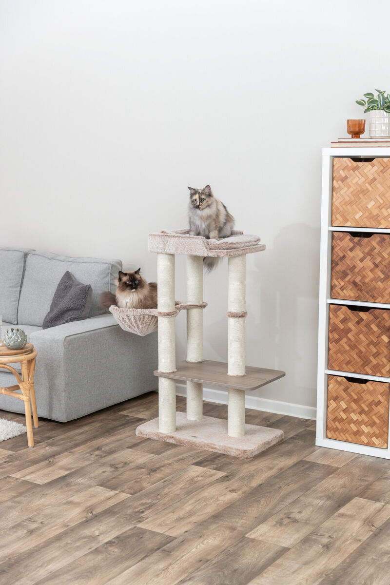 Arbre à chat Sienna, 105cm, taupe Arbre à chat Sienna, 105cm, taupe