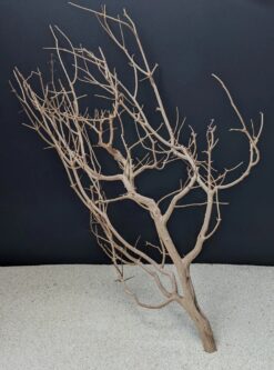 Thai Wood Mix ca. 50-100 cm