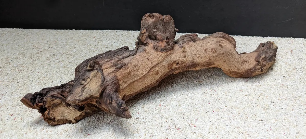 Mopaniholz - Mopani Wood S, ca. 0,3-0,8 kg Mopaniholz - Mopani Wood S, ca. 0,3-0,8 kg