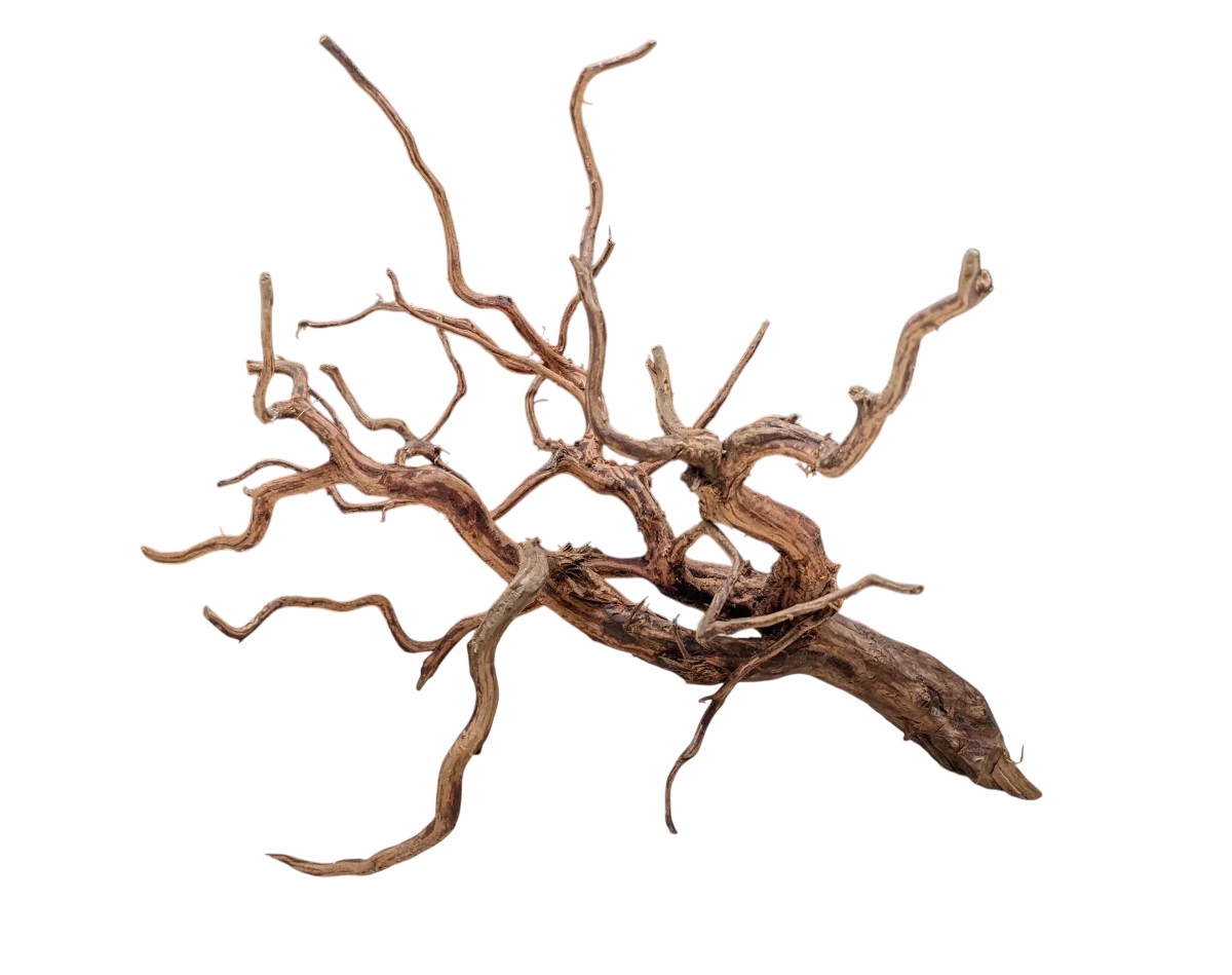 Dark Snake Wood XXL ca. 55-70 cm Dark Snake Wood XXL ca. 55-70 cm