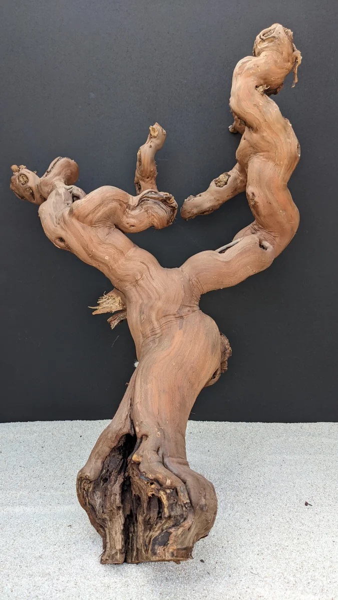 Terrarienholz - Terrarium Wood ca. 50-80 cm Terrarienholz - Terrarium Wood ca. 50-80 cm