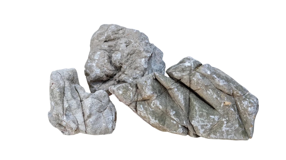 Seegebirge - Ocean Mountain ca. 25-50 cm Seegebirge - Ocean Mountain ca. 25-50 cm