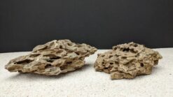 Schuppenstein - Dragon Stone ca. 5-10 cm