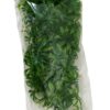 Medium Cannabis