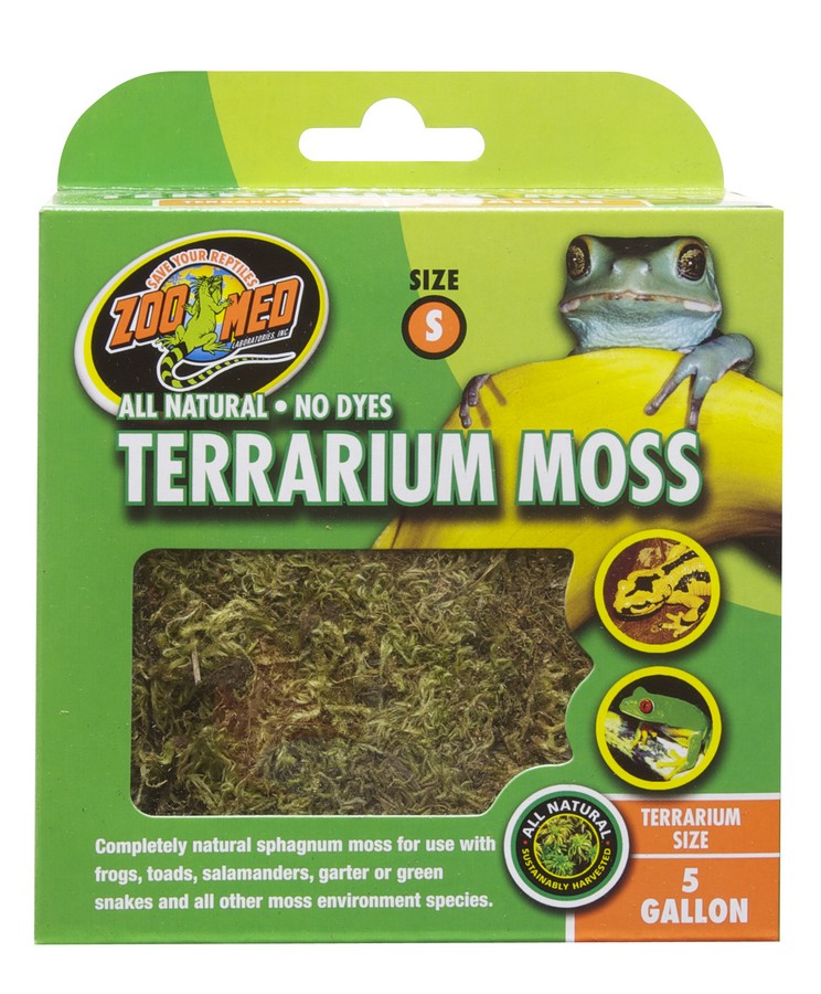Terrarium Moss S Terrarium Moss S
