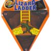 Escalier p. lèzard