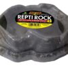 Repti Rock Food / Water Dish