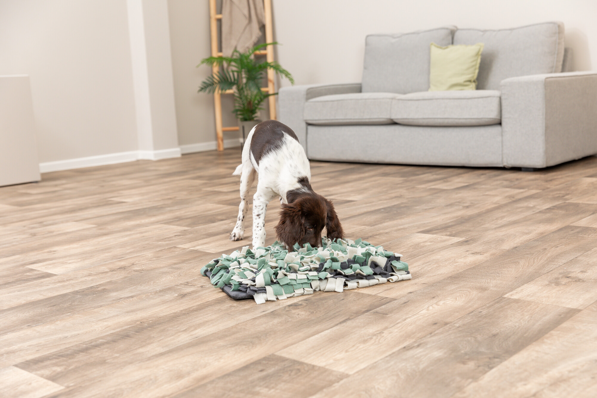 Dog Activity Strategie-Spiel Schnüffelteppich 50×34cm Dog Activity Strategie-Spiel Schnüffelteppich 50×34cm