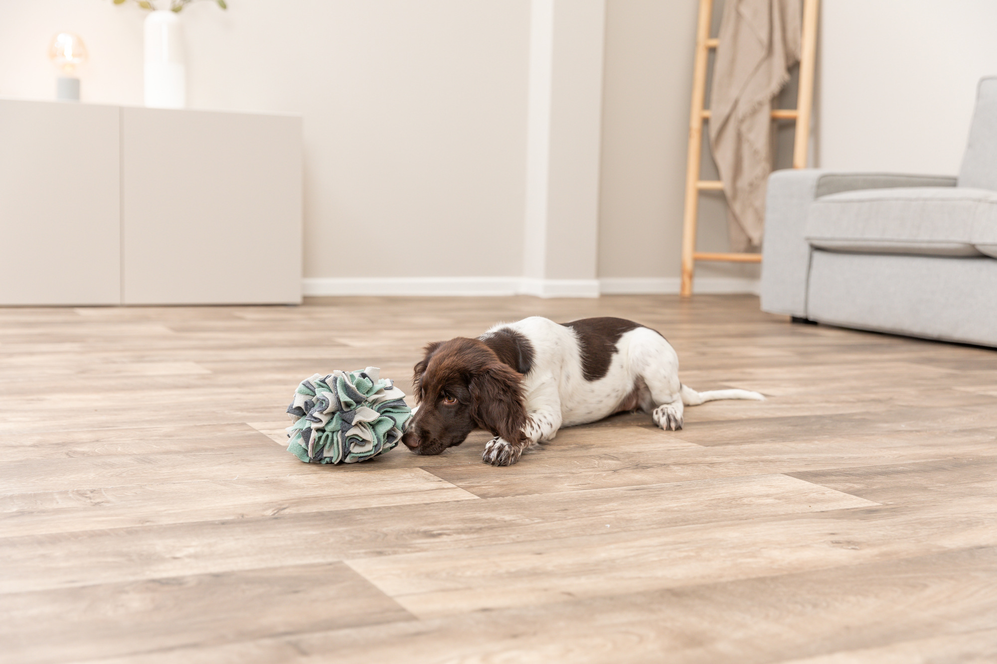 Dog Activity Balle à renifler, tissu, ø 15cm Dog Activity Balle à renifler, tissu, ø 15cm