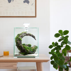 Alternative view of SHRIMP SET SMART D&N 30 WHITE ECOM