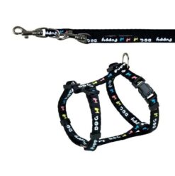 Parures p.chiots,laisse av. collier, noir