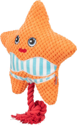 Alternative view of Seestern, 22 cm, orange