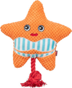 Seestern, 22 cm, orange