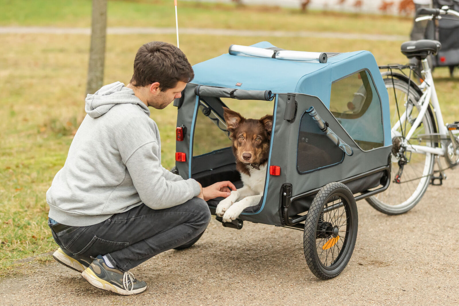 Fahrrad-Anhänger, blau/grau S: 70×88×88/131cm Fahrrad-Anhänger, blau/grau S: 70×88×88/131cm