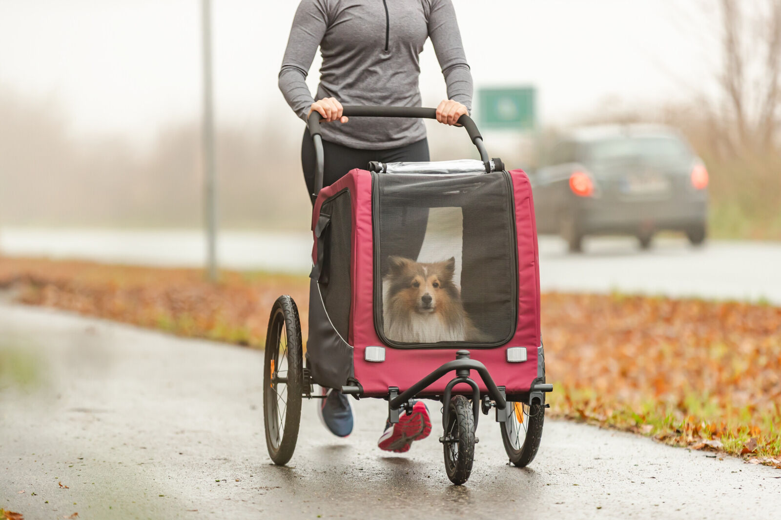 Jogger-Umbausatz für Fahrrad-Anhänger 12781 Jogger-Umbausatz für Fahrrad-Anhänger 12781