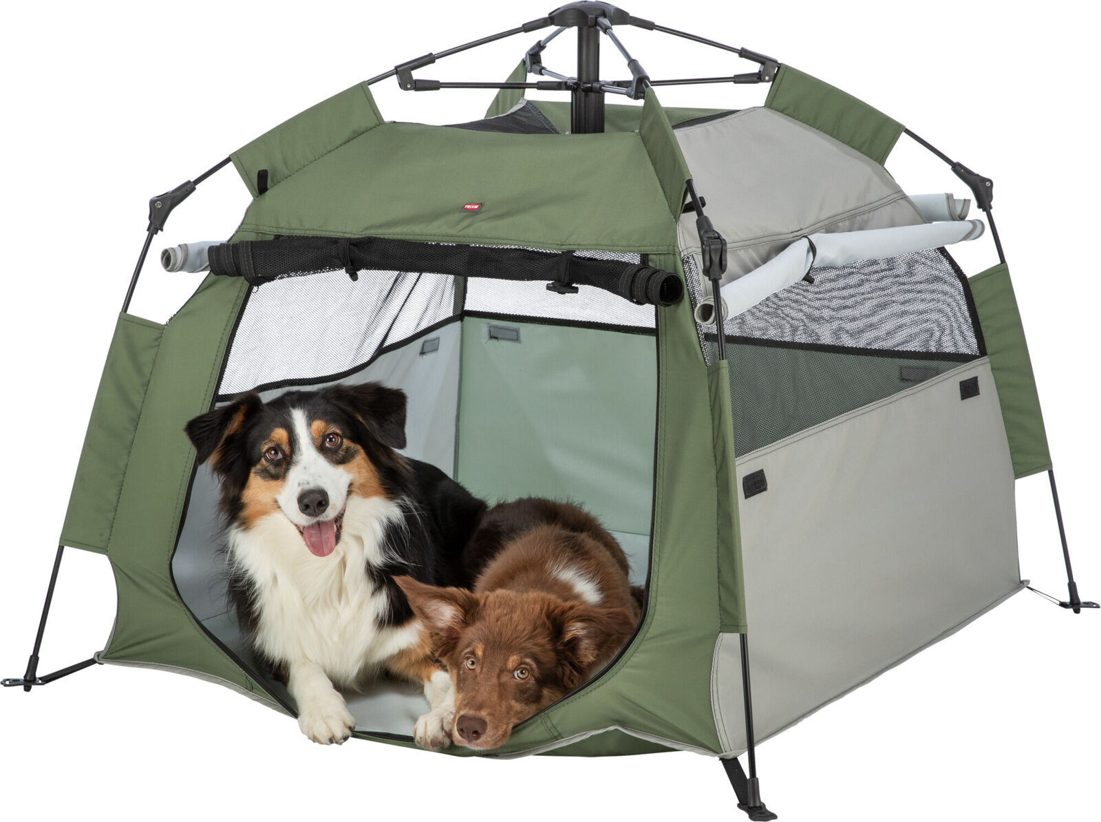 Pop-up tente pour chiens, 100×80×100cm, vert olive/beige Pop-up tente pour chiens, 100×80×100cm, vert olive/beige