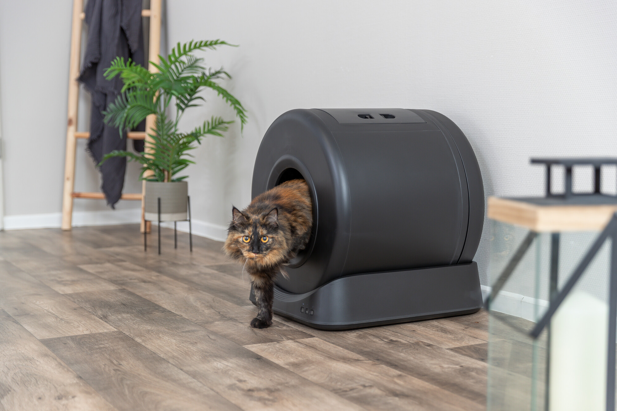 Smarte Katzentoilette, Kunststoff, Black Edition, 51×56×54cm Smarte Katzentoilette, Kunststoff, Black Edition, 51×56×54cm