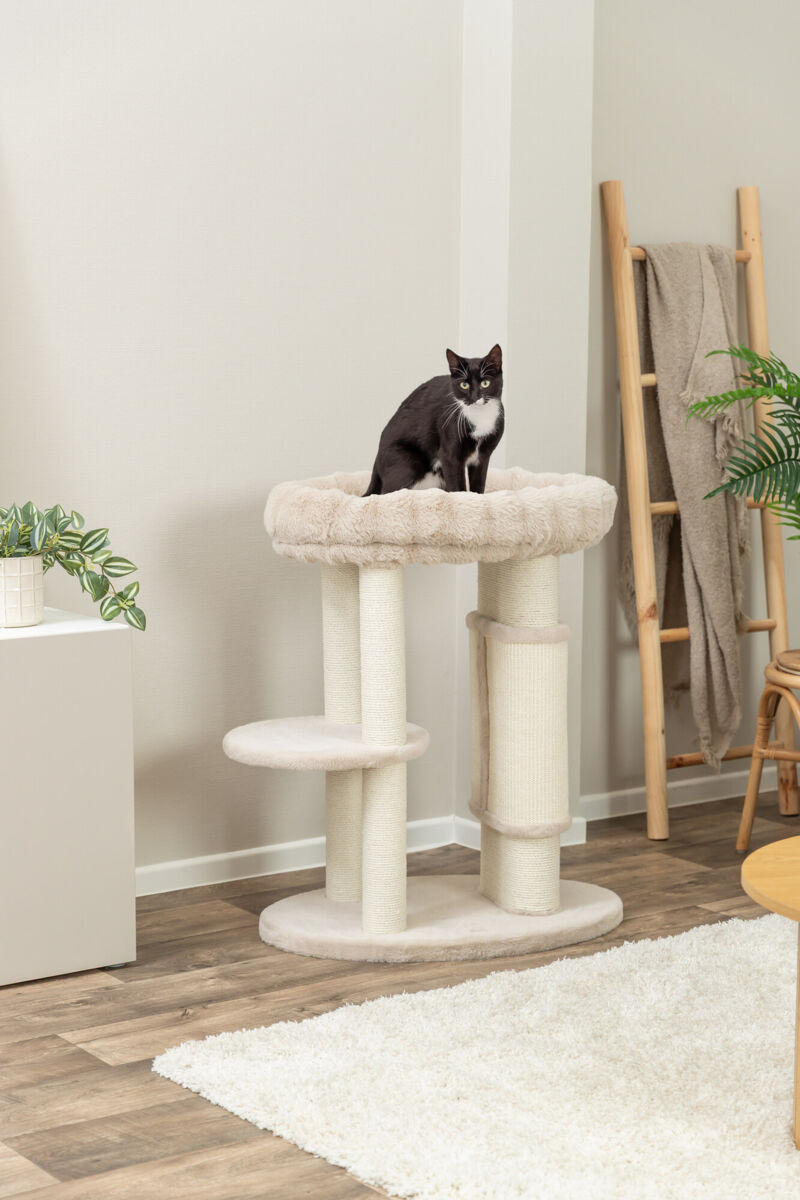 Arbre à chat XXL Elli, 90cm, crème Arbre à chat XXL Elli, 90cm, crème