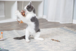 Alternative view of Canne jeu souris avec plumes, marron foncé