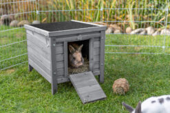 Habitat petits animaux, gris