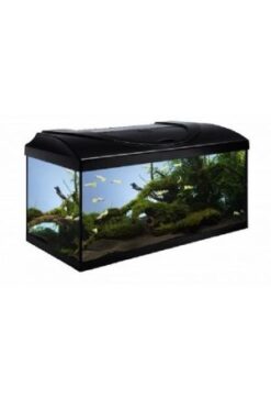 Aquarium-Set Start Up / Gerade