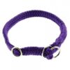 Dino Halsband, lila