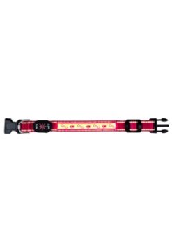 Flash Leuchthalsband USB