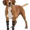 Pfotenschutz Walker Socks, LXL, 2 St., schwarz/grau