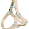Premium Geschirr beige