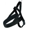 Premium Comfort harnais, M-L: 53-66cm/40mm, orange cuivré