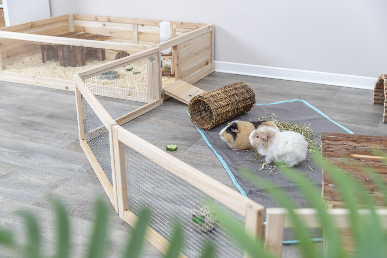Enclos en bois usage intérieur pour lapins et cochons d'inde